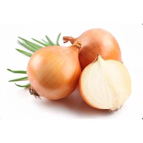 

Bawang Bombay 1 Buah Segar Murah