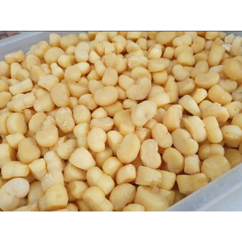 

scallaps/kerang/kanpei