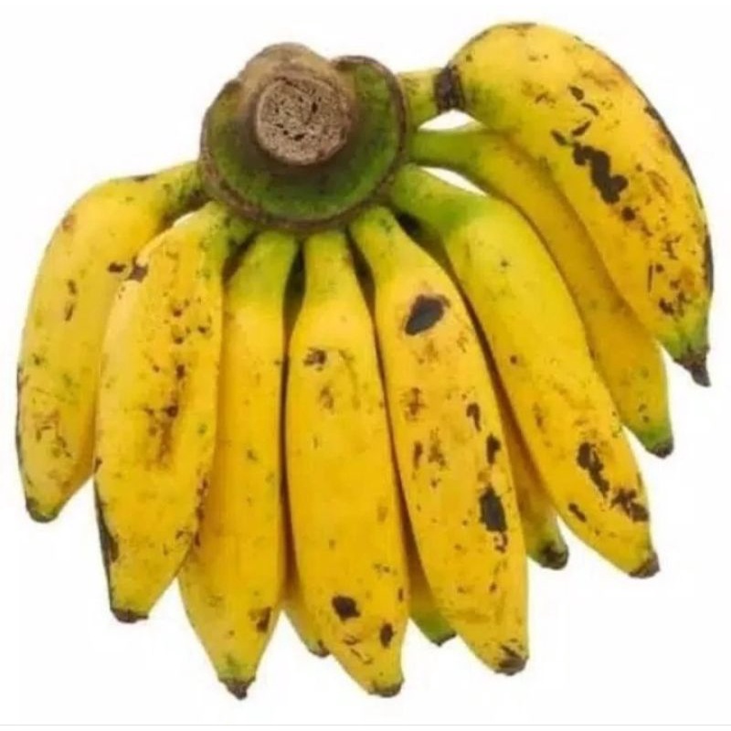 

Pisang uli 1 sisir
