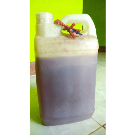 

MADU ASLI TIMOR TTS