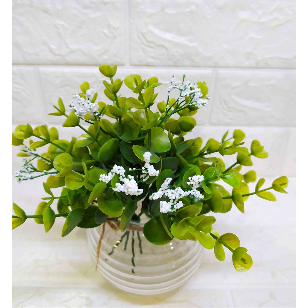 Pajangan Eucalyptus Pot Kaca + Lampu