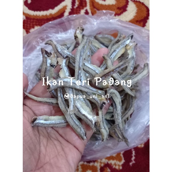 

IKAN TERI PADANG