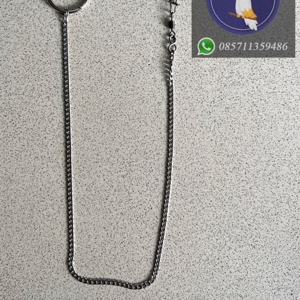 Rantai Rante Burung Falk Betet Sun Conure