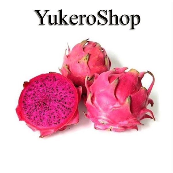 

Buah Naga Merah per KG