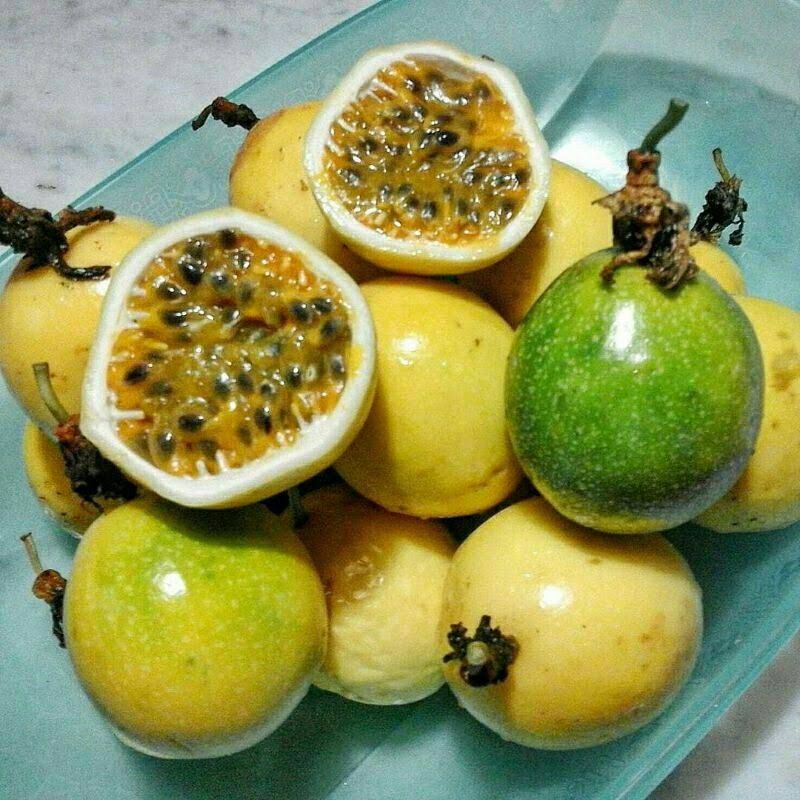 

Jual buah markisa manis 1kg Murah