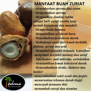 PAKET PROMIL BUAH ZURIAT FREE TASBIH DIGITAL BUKU DZIKIR PAGI PETANG