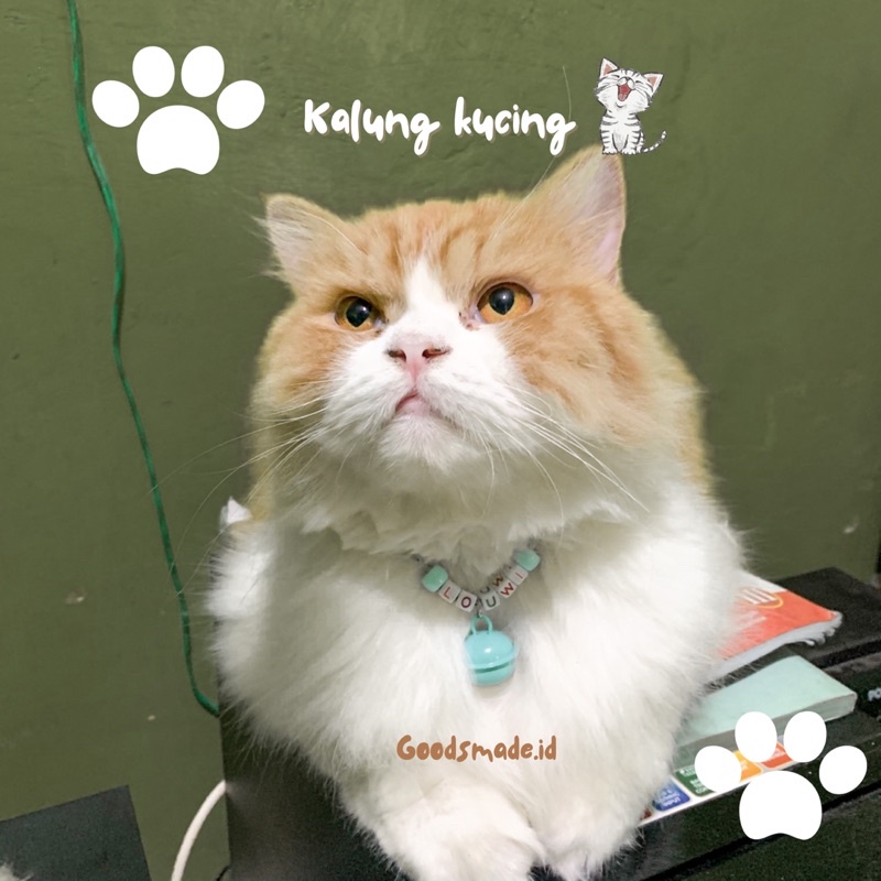 KALUNG KUCING TALI BISA CUSTOM NAMA