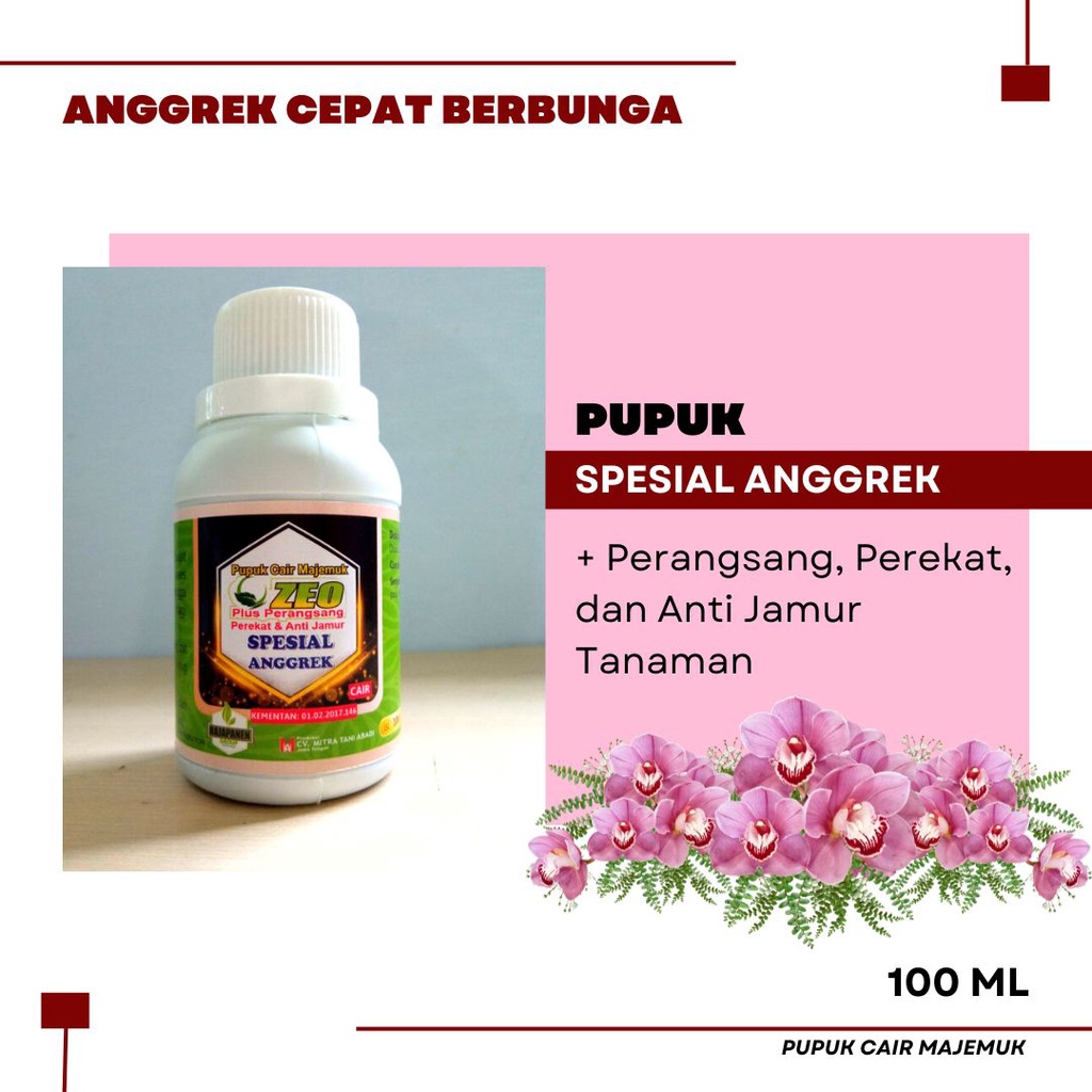 Jual Pupuk Anggrek Cepat Berbunga, Pupuk Percepatan Pertumbuhan Akar ...