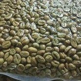 Green bean Robusta Temanggung 1 kg Premium Grade Biji Kopi Mentah Java Specialty