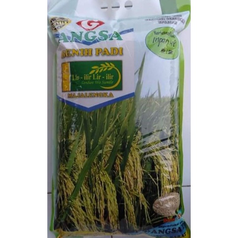 BENIH PADI INPARI 48 (5KG)