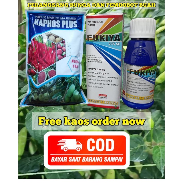 PAKET FUKIYA 100 ML & KAPHOS