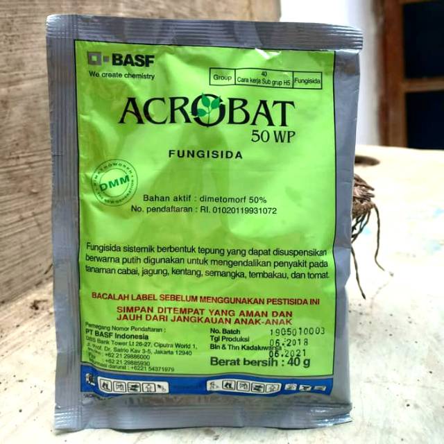 Acrobat 50WP 40gr