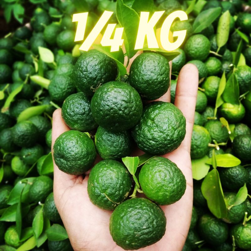 

JERUK LIMO | LIMAU 250g