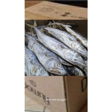 

ikan asin tenggiri 1 dus per 10kg
