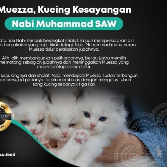 Makanan Kucing Kering - Tuna Flavor - Muezza Cat food