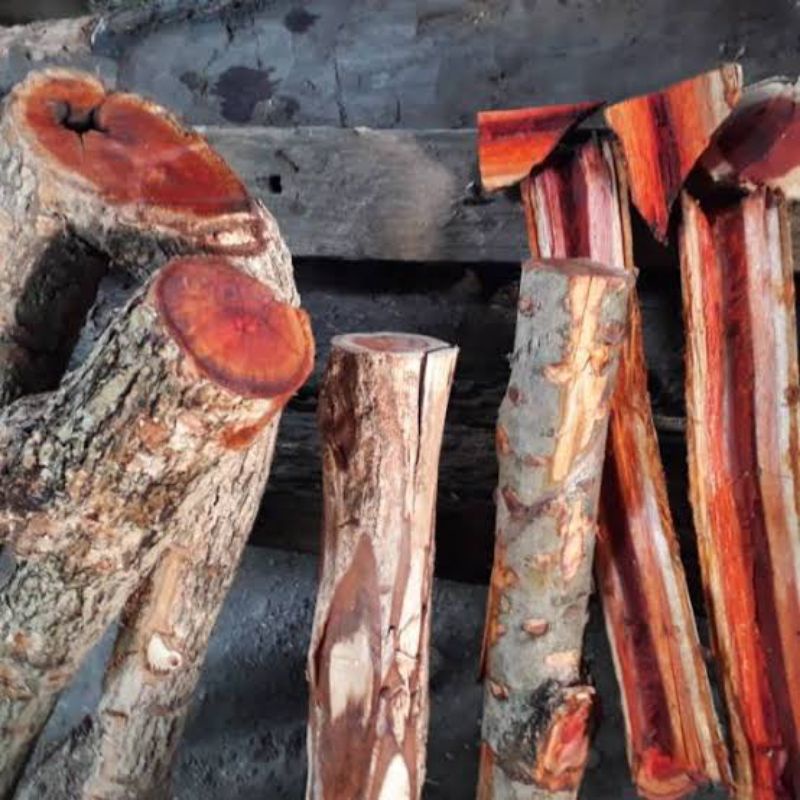 Kayu Secang asli Kering Batangan hutan 1 kg Siap pakai