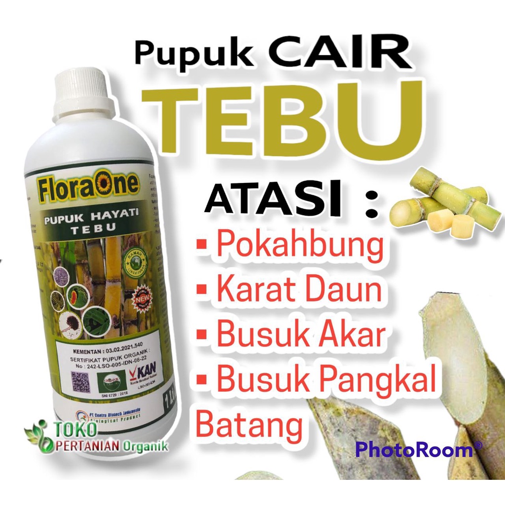 Pupuk Cair FLORAONE tebu hitam mengatasi busuk akar, Fungisida cair untuk tebu bebas penyakit tanama