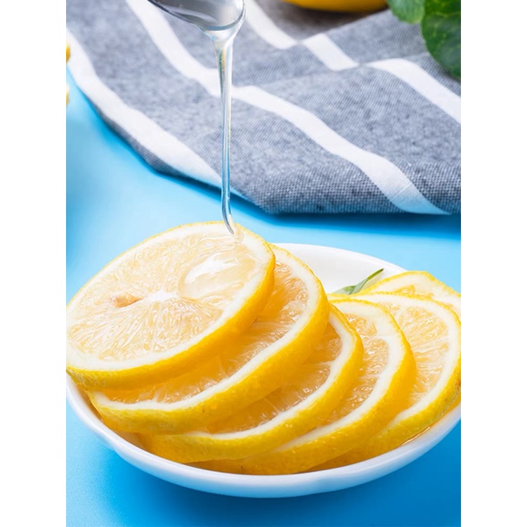 【HARGA PER SACHET】Freeze Dried Lemon Slices for Tea 5gr 蒲草茶坊 冻干柠檬片