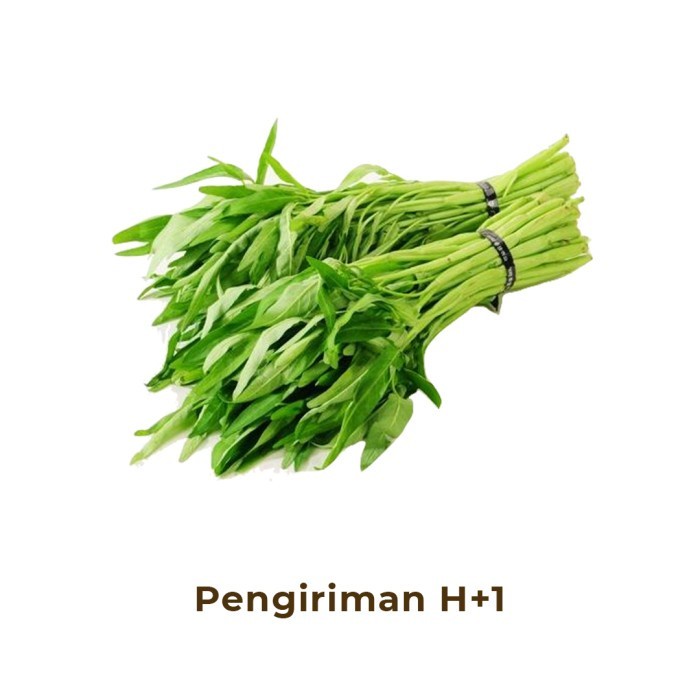 

Kangkung Segar