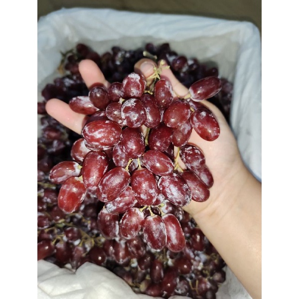 

Anggur crimson seedless 500gr
