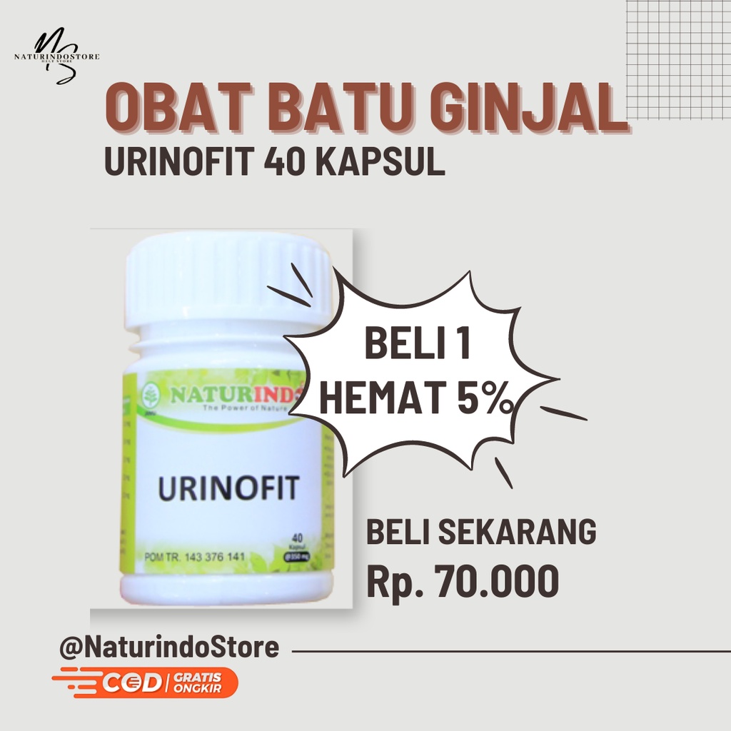 Jual Obat Herbal Alami Atasi Masalah Ginjal ,Batu Ginjal ,Ginjal Bengkak ,Ginjal Bocor ,Batu Ginjal 