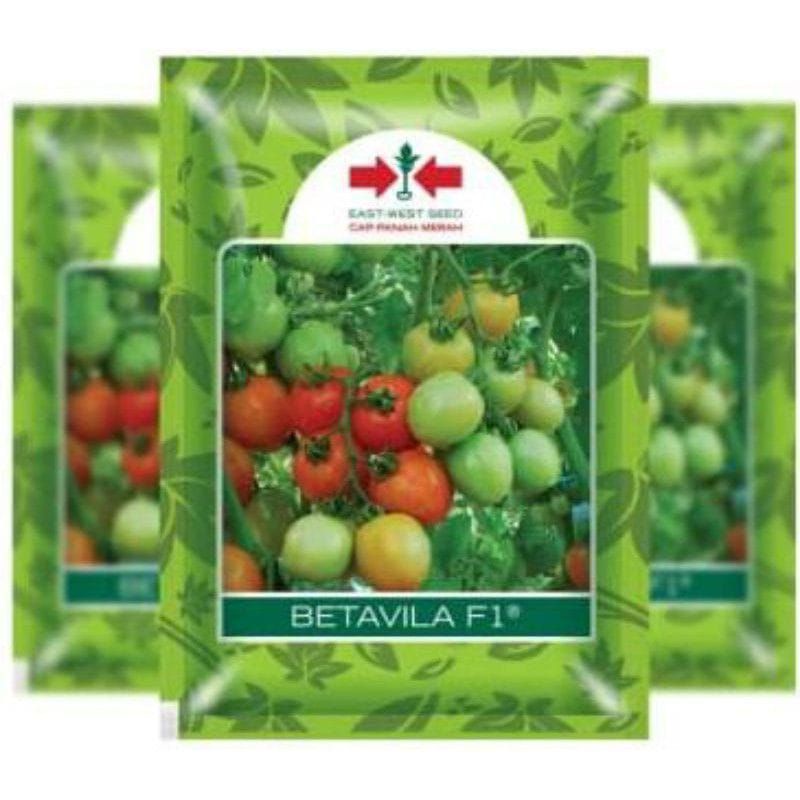 (20 biji) benih tomat betavila repack F1 original