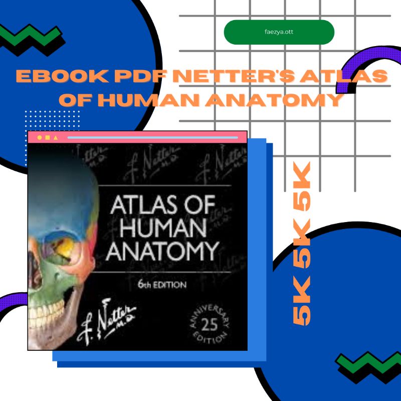 Jual Atlas Of Human Anatomy - Netter [English] | Shopee Indonesia