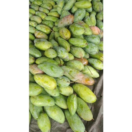 

MANGGA KIOJAY / MANGGA MANIS / SEGAR / FRESH / LEMBUT