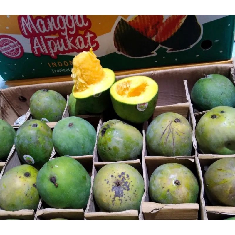 Jual Mangga Alpukat Dus Kg Shopee Indonesia