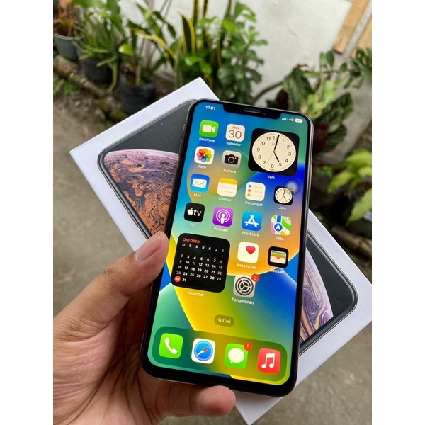 iPhone xs max 512gb