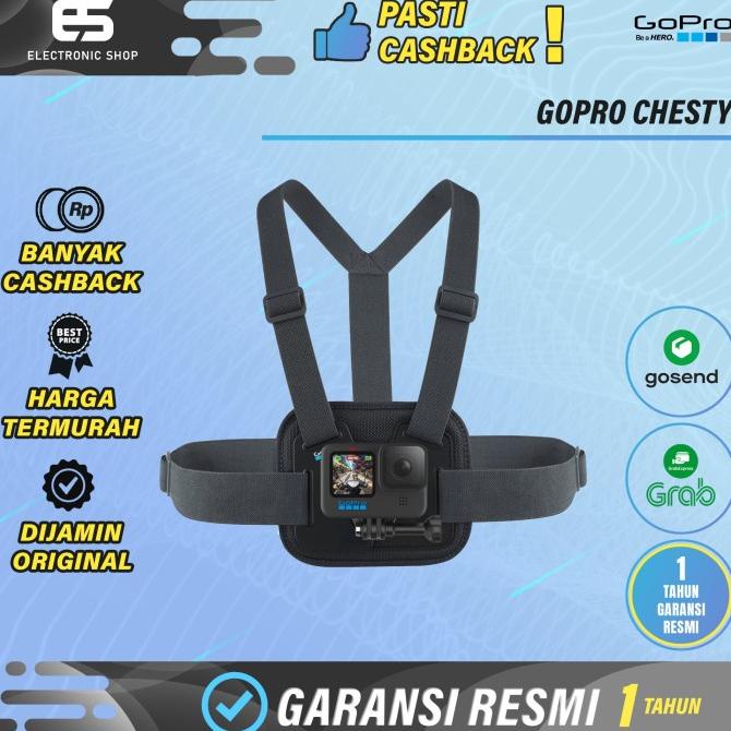 Gopro Chesty