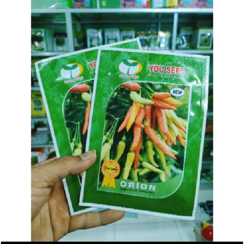 Benih Cabe Orion Cabe Berdompol Buah Lebat