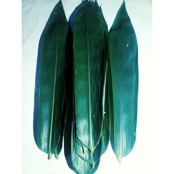 

DAUN BAMBU 500gram