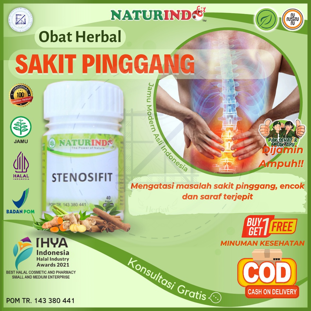 Jual Obat Herbal Sakit Pinggang Encok Obat Syaraf Saraf Terjepit