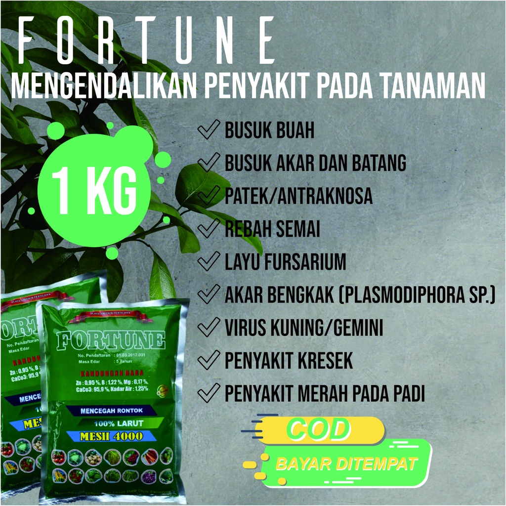 COD AMAN PUPUK TEPUNG FORTUNE 1 KG Obat Hama Patek Cabe, Busuk Akar, Batang dan Buah Cabe - Pupuk Se