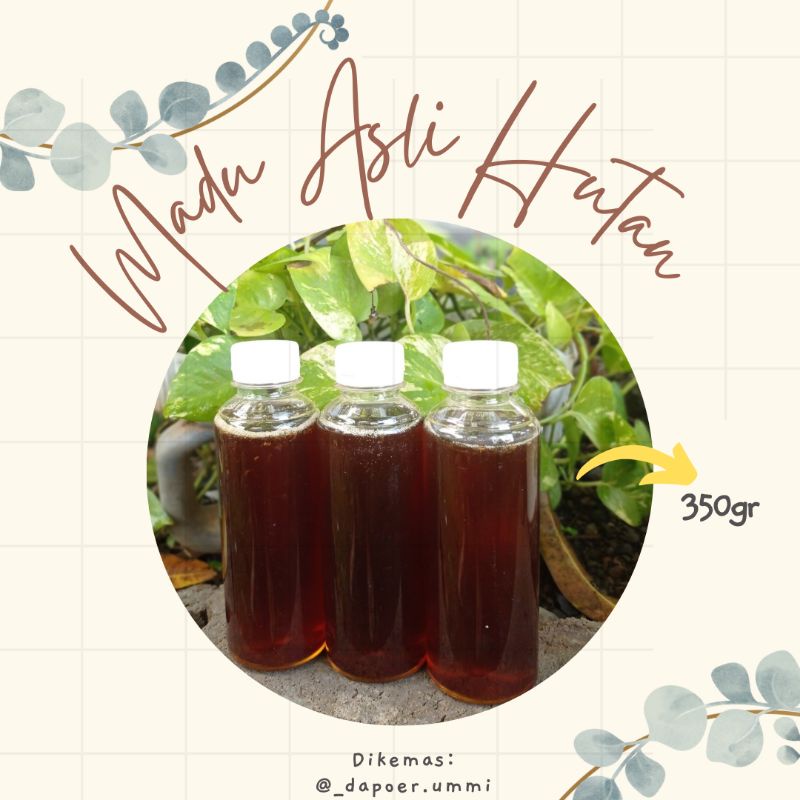 

Madu Multiflora / madu hutan liar