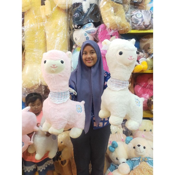 BONEKA ALPACA IMPORT ALPACA KWALITAS OKE