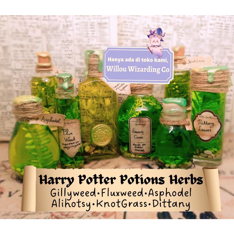 Jual Harry Potter Potion Gillyweed Herbology Biologi Gilly Weed Fluxweed Knot Grass Dittany