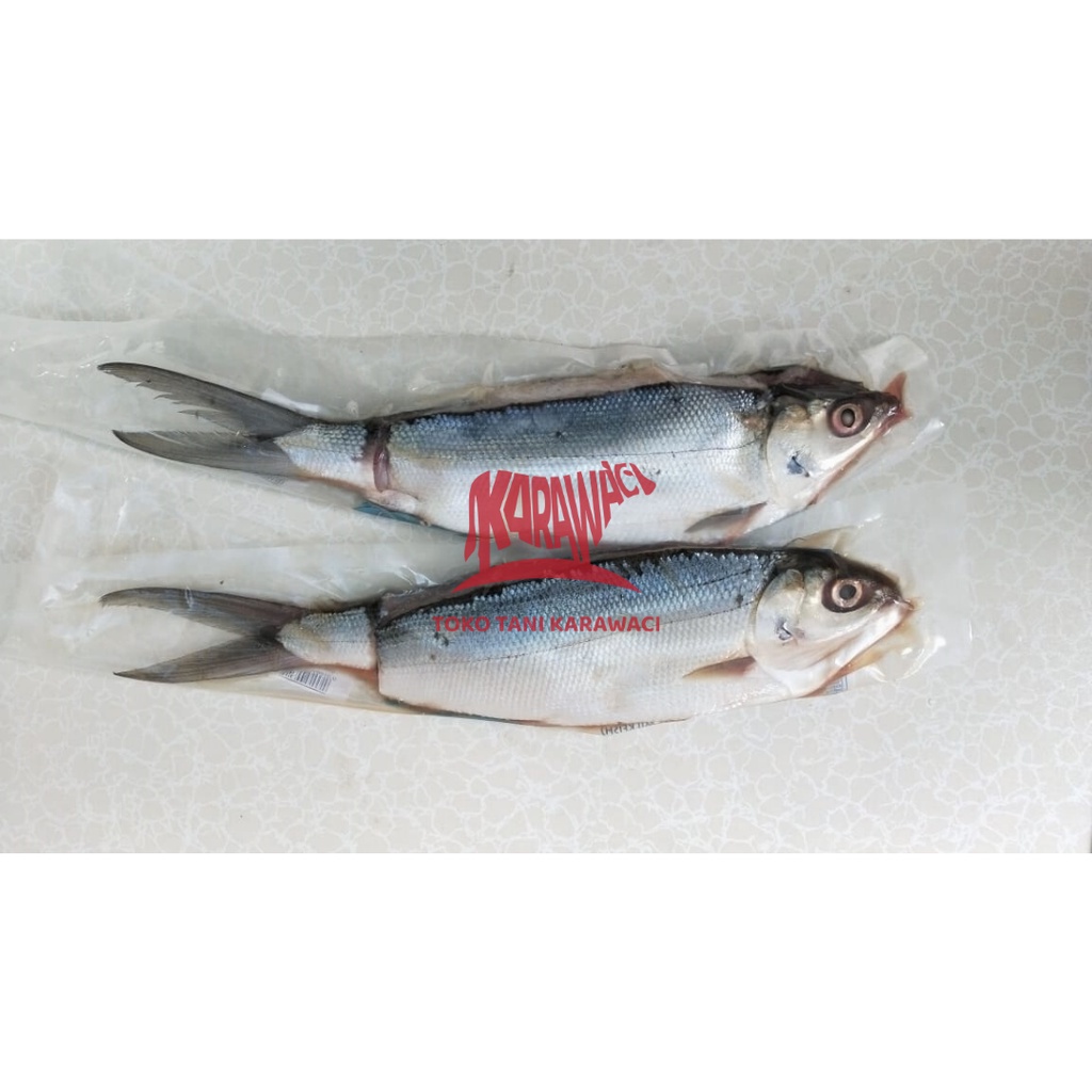 Ikan Bandeng Tanpa Duri / Bandeng Cabut Duri @350gr - PREMIUM