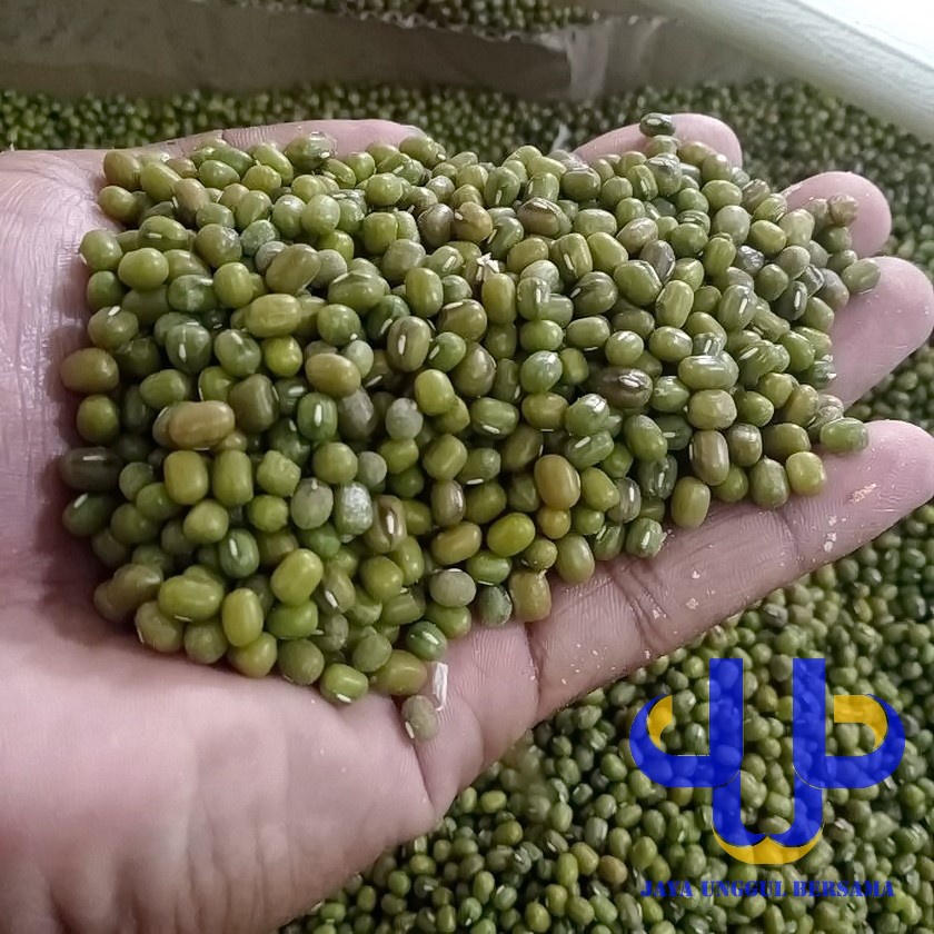 

Kacang Hijau Lokal/Kacang Hijau Jawa Premium 500 GR