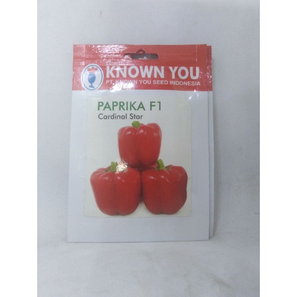 benih paprika merah cardinal star KYS