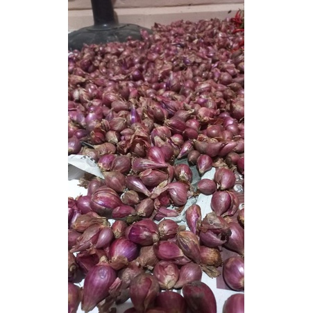 

Bawang Merah Asli Brebes