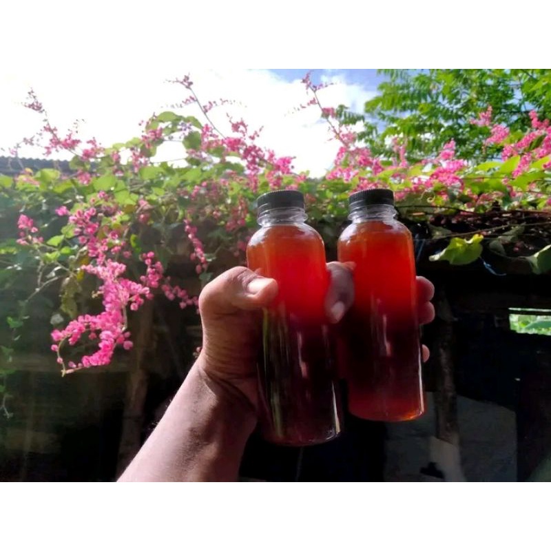 

madu klanceng itama botol ukuran 250ml