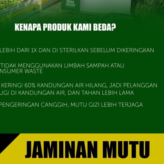 Maggot Nusantara Koi 500 Gr