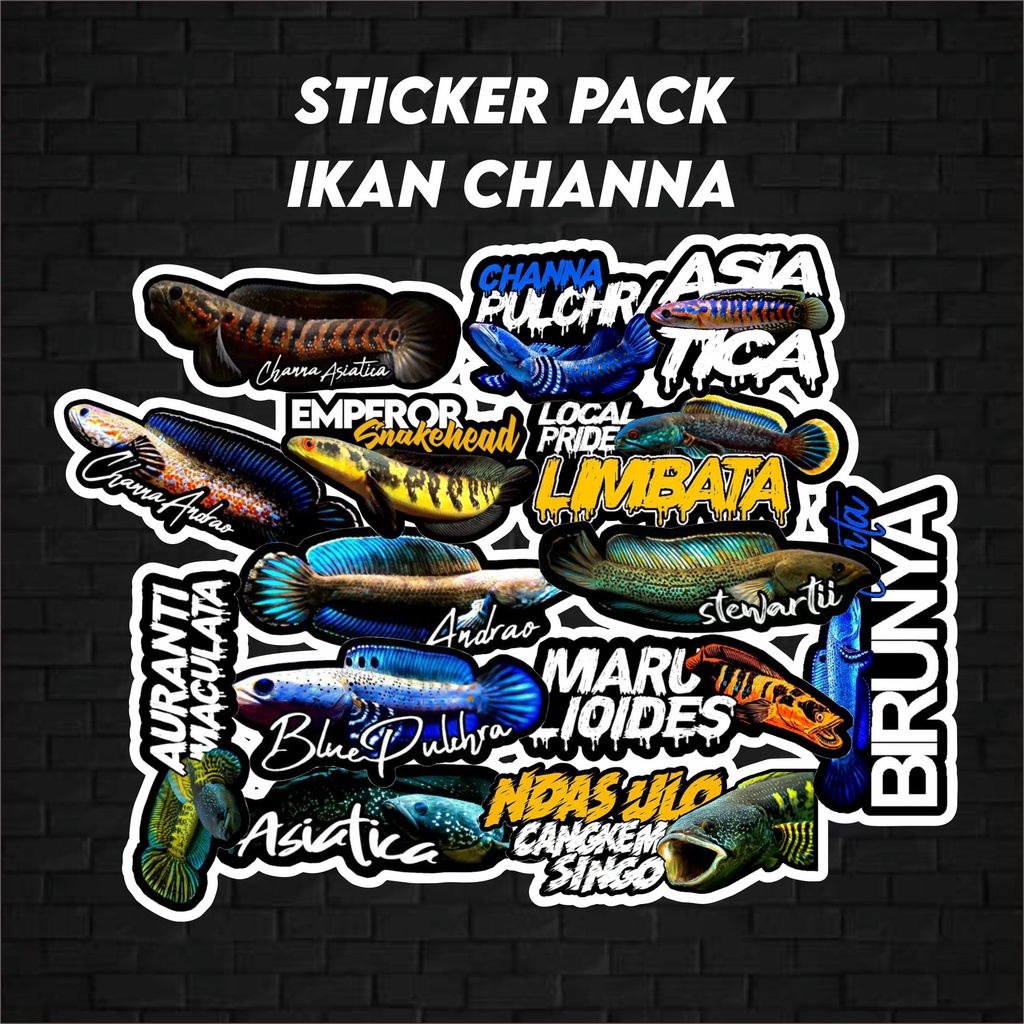 

Sticker aquarium sticker Pack ikan channa Sticker akuarium ikan channa waterproff tahan air
