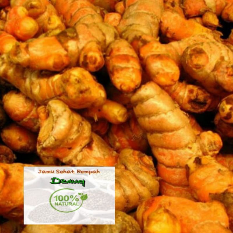 

KUNIR KUNING SEGAR/FRESH