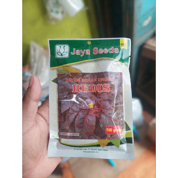 Benih Bayam Merah Redis 100gram