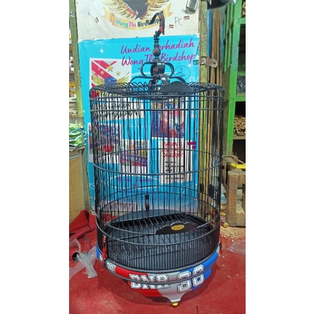 sangkar murai bnr 36