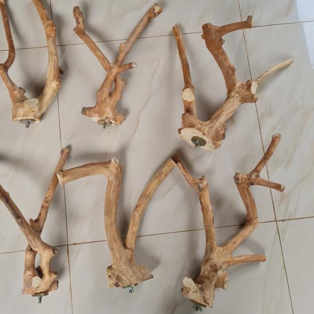 Tangkringan kayu kopi