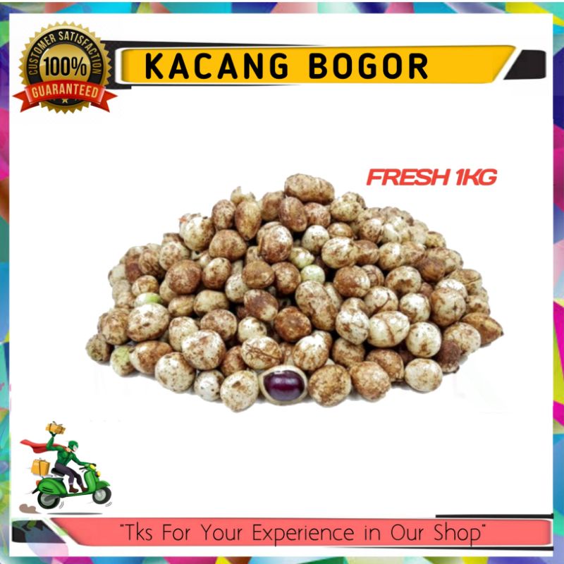 

Kacang Bogor / Kacang Polong / Terbaik / Termurah / Fresh 1Kg